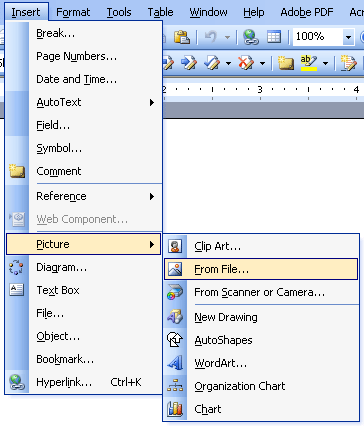 Dreamweaver and MS Word