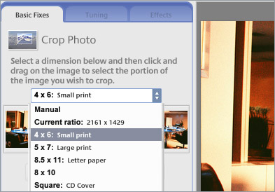 Picasa cropping functionality